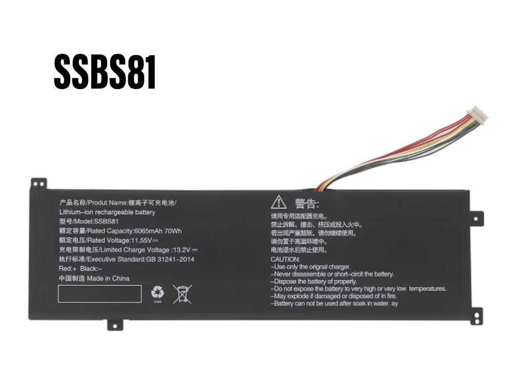 SSBS81 Laptop Akku